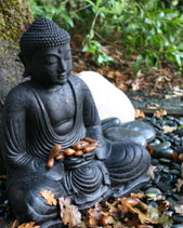 Budda Image - Calm your mind - Fairfax, San Anselmo, Marin County, San Francisco Bay Area - Yoga Therapy